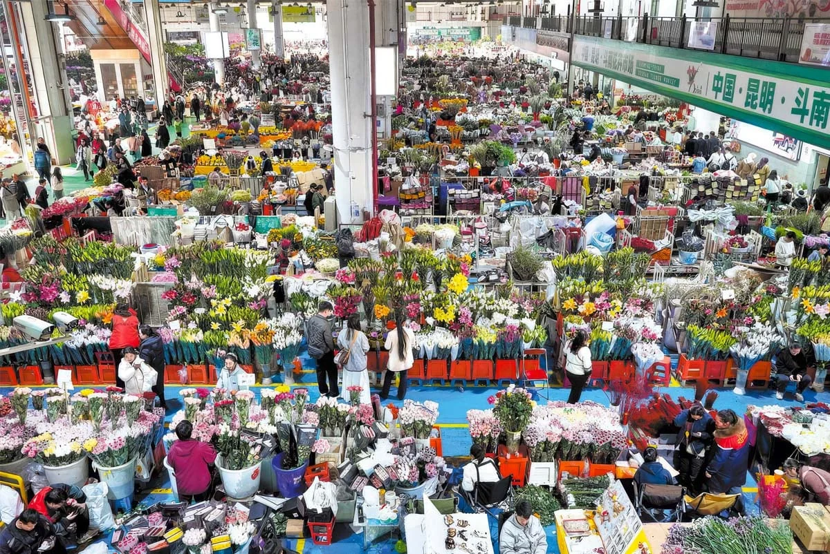 The flower trade at Kunming’s Dounan Flower Market