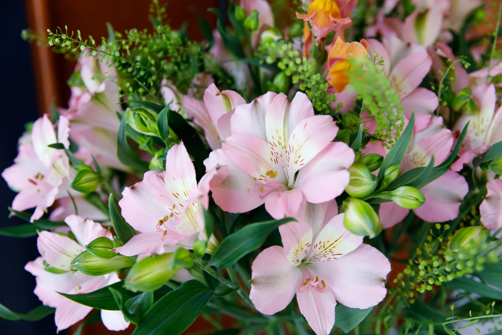 Alstroemeria flowers from Könst