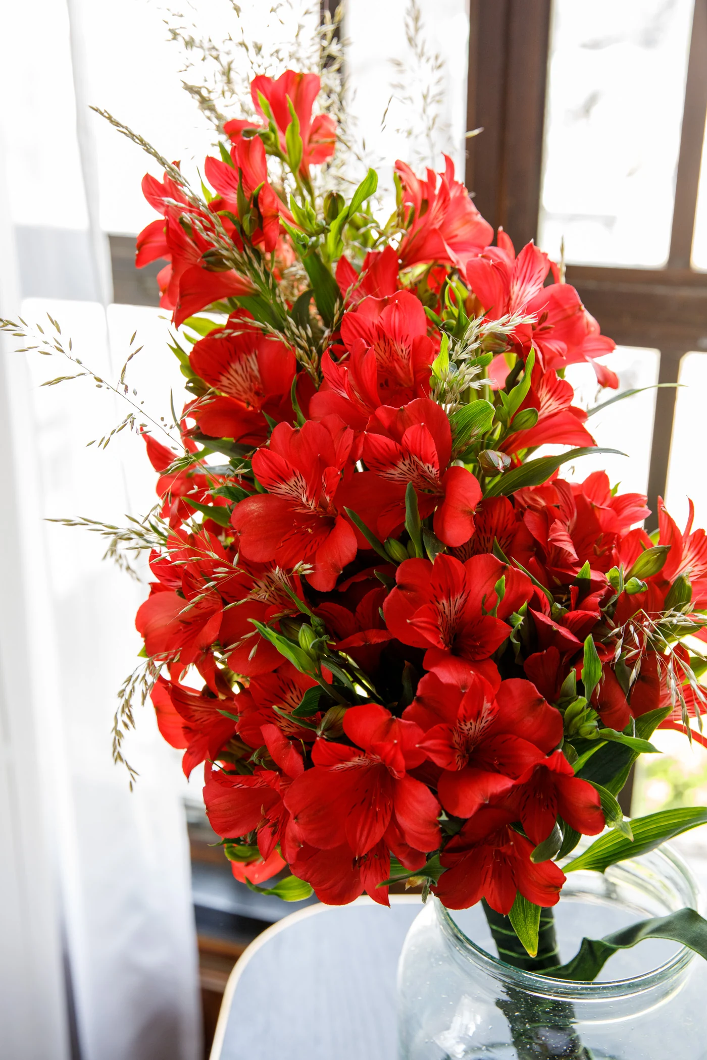 Alstroemeria flowers from Könst’s breeder collection in natural light