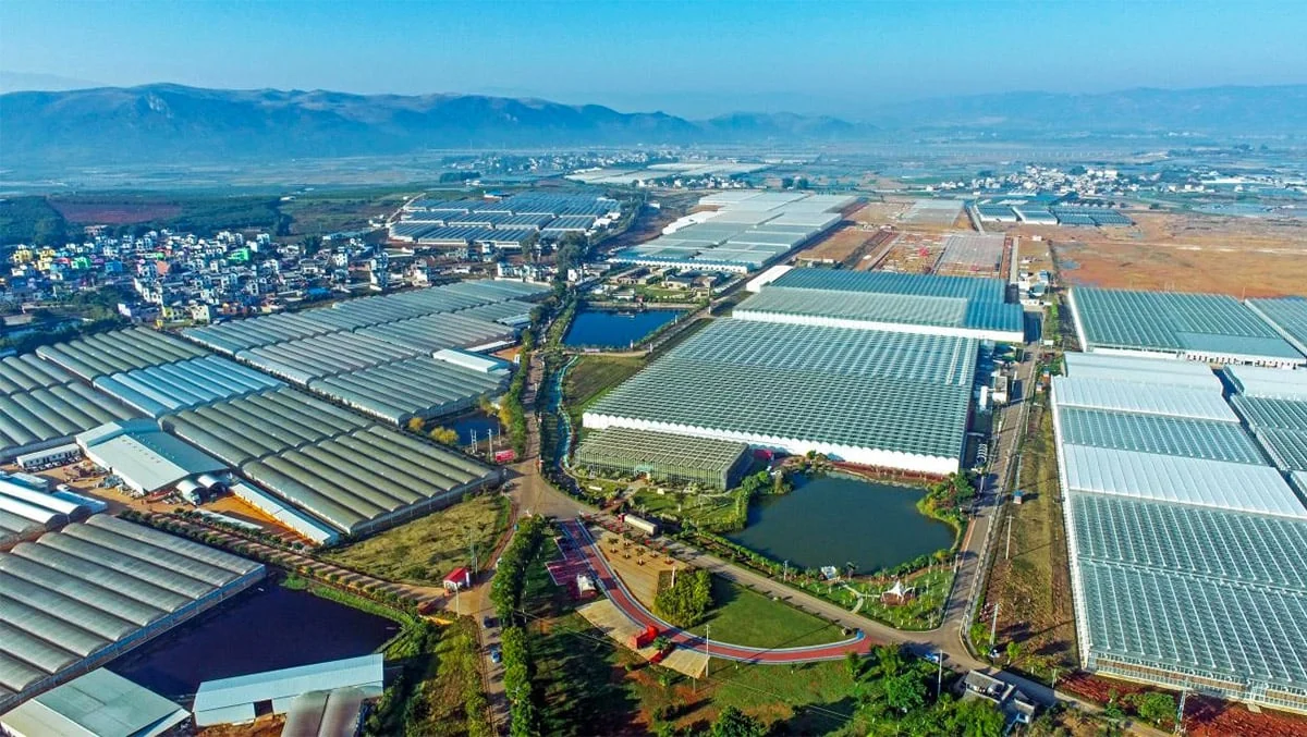 An aerial view of greenhouses in Kunming’s flower-growing area